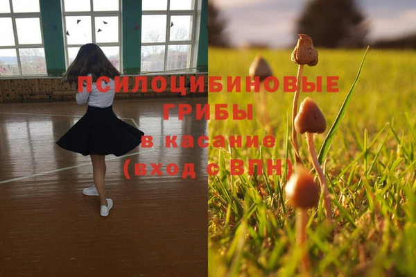 таблы Алексин