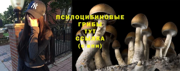таблы Алексин